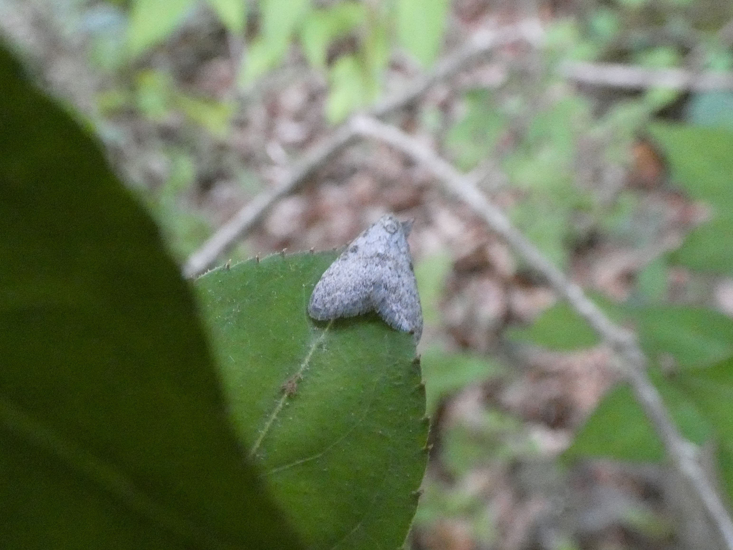 photo_2